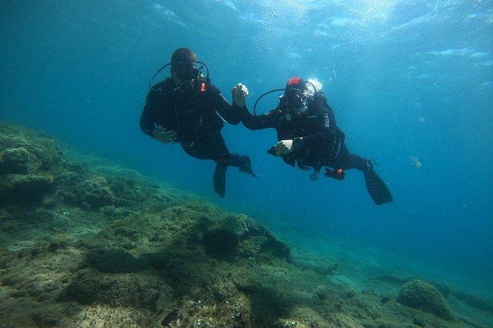 ホテルへのお迎え付きでグラン カナリア島のスキューバ ダイビングを満喫