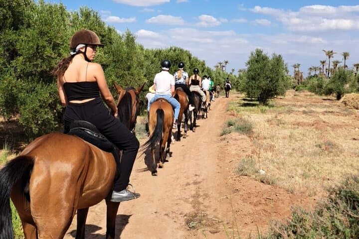 Marrakech : Balade à cheval Privée à la Palmeraie de Marrakech