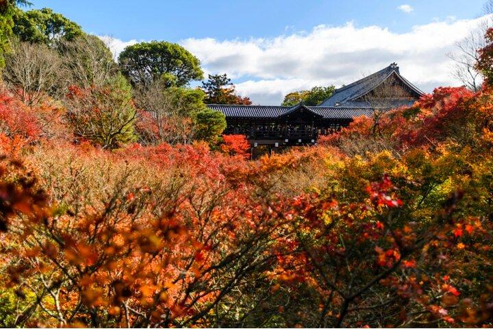 Frühbucher-E-Bike-Tour durch Ost-Kyoto