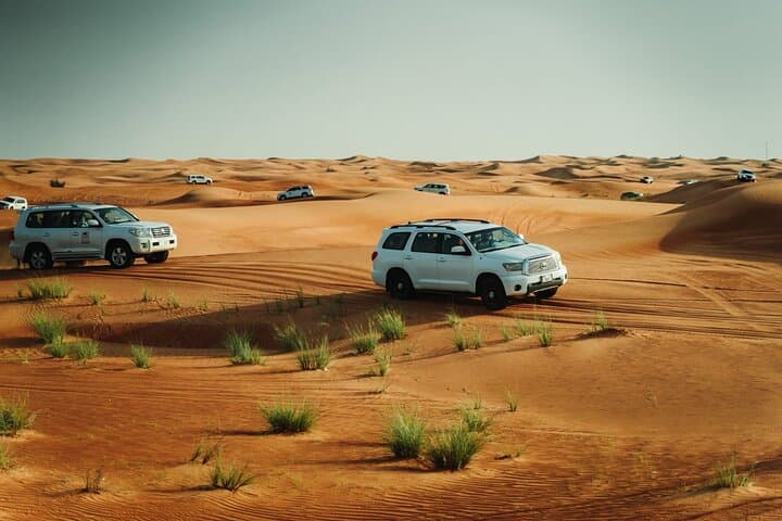 Dubai Desert safari Tour with Live BBQ & Belly Dance Shows