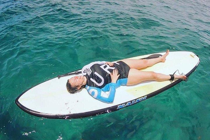 Leer Paddle Board en verken de mangroven van Progreso
