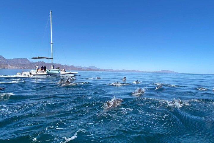 Crucero por la isla en catamarán con esnórquel