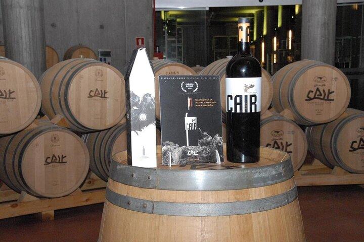 Dégustation de vin privée et visite guidée à Ribera Duero
