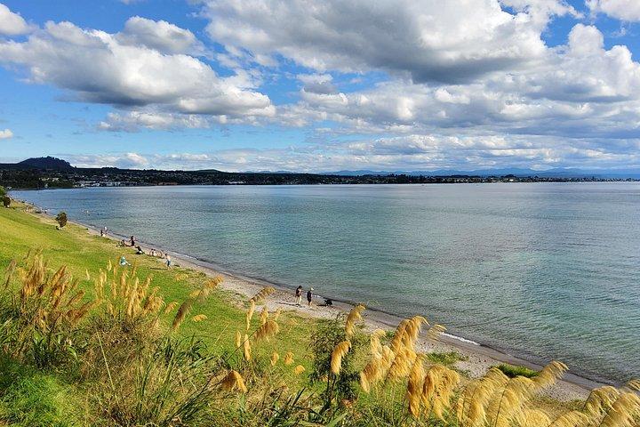 オークランドからマオリの岩彫刻までのタウポ湖プライベート日帰りツアー