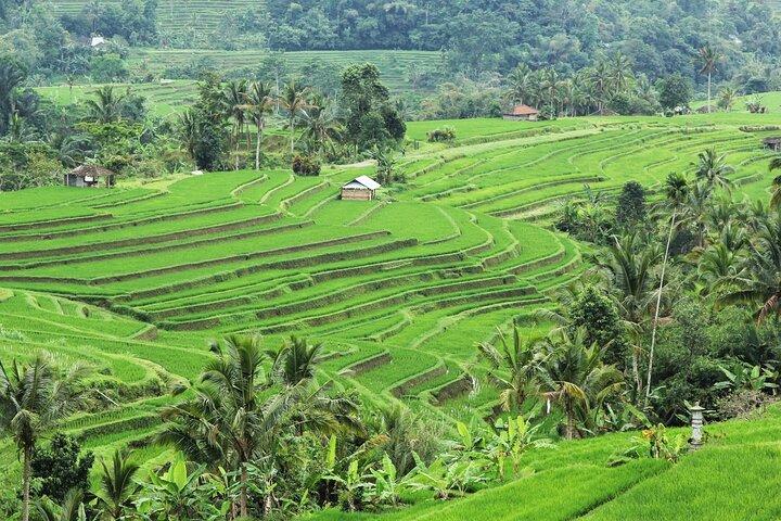 Bali UNESCO-steder: Vandtempler og Jatiluwih Rice Terrace Tour