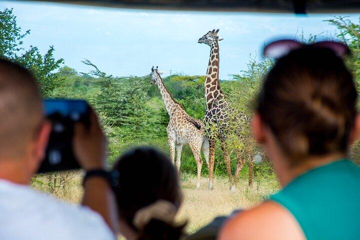 ザンジバルからの最高のSelous 1日サファリ
