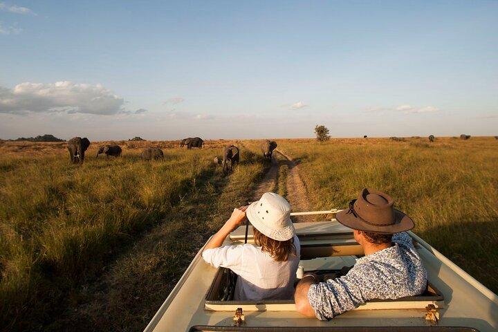 Hoteller i nærheden af Tarangire, Serengeti & Ngorongoro Safari