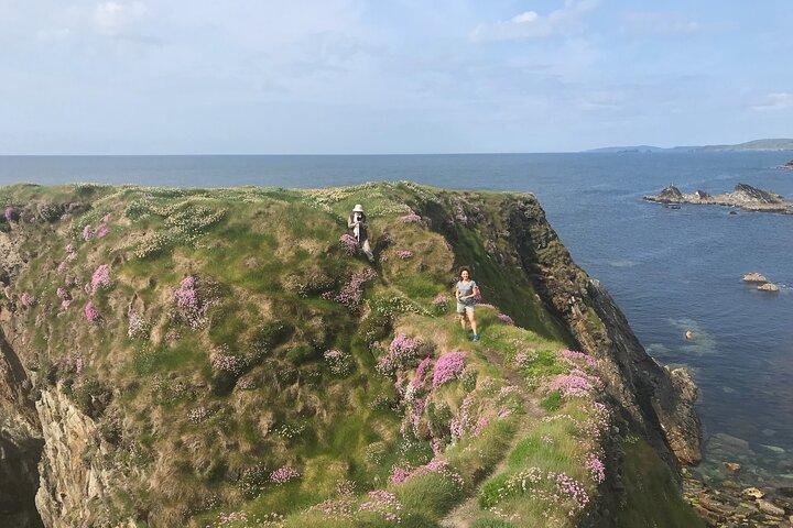 Toe Head Clifftop-wandeling in West Cork