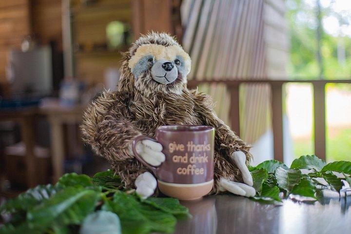 La Fortuna Guided Chocolate And Coffee Tour