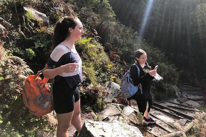 Summit Table Mountain con un locale