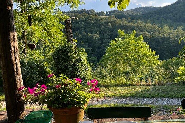 Cooking Class for Pasta Lovers in Florence Country House