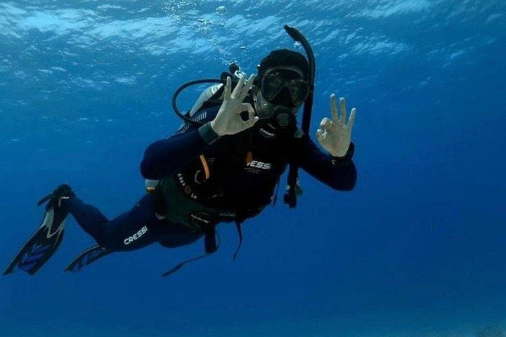 「プロフェッショナルで情熱的なスキューバ ダイビングの冒険に出かけましょう!」