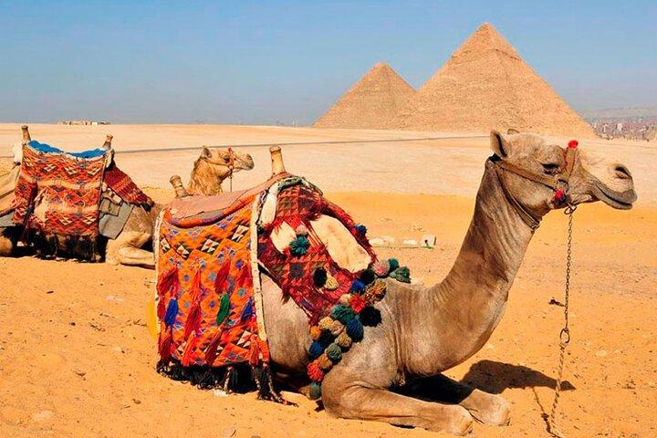 Visite privée de 7 heures des pyramides de Gizeh et du Sphinx à Saqqarah