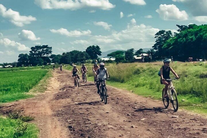 Discover the Serenity of Rau Forest on a Half-Day Bike Tour