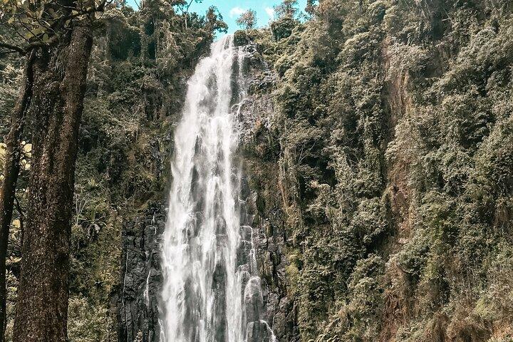 Tour cultural de 4 días desde el Kilimanjaro con caminata y safari