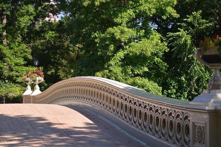 Central Park Private Pedicab Tour