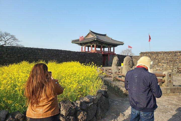 済州島の南と東のプライベートツアー