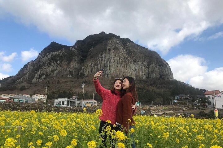Jeju lufthavn start & vest tur & drop off i seogwipo (Jeju by)