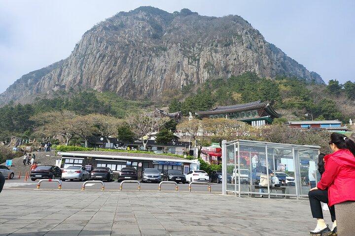 Jeju lufthavn start & vest tur & drop off i seogwipo (Jeju by)