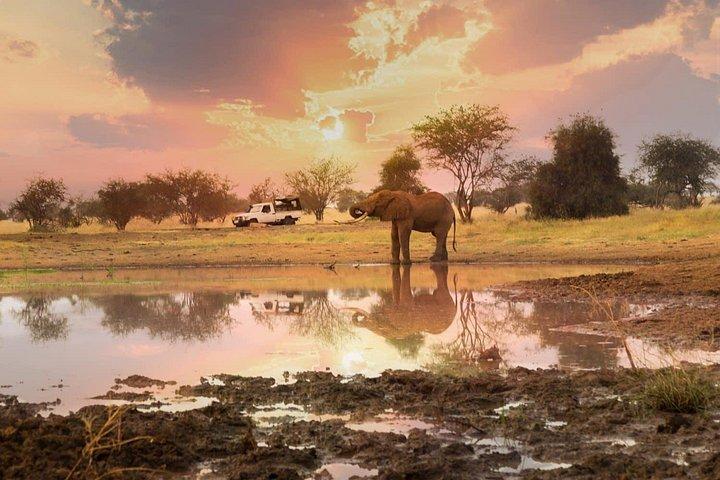 2 DAYS TAITA HILLS SAFARI (Minimum 2 pax)