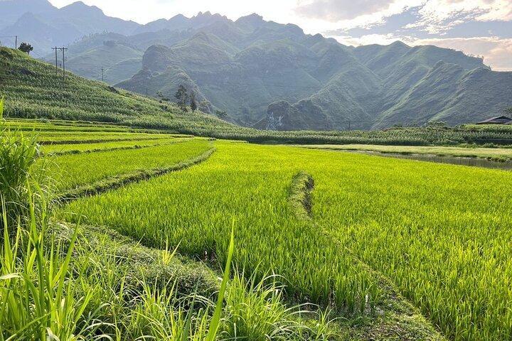 4D3N Ha Giang Loop con Yolo Ha Giang Adventures
