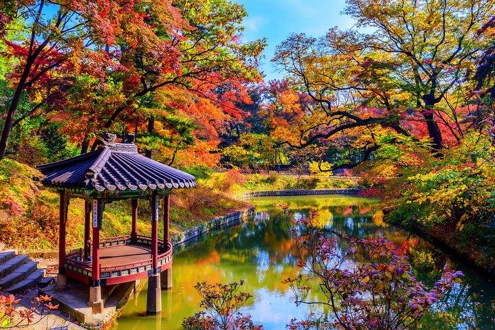 Privat Unesco-tur i Seoul med guide