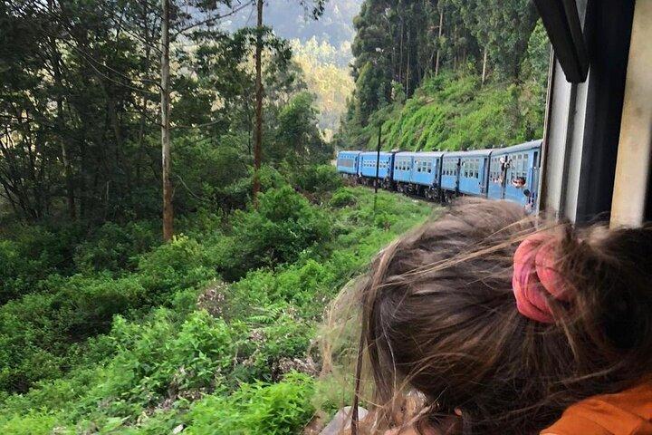 Viagem panorâmica de trem de Ella para Kandy com bilhete de assentos reservados