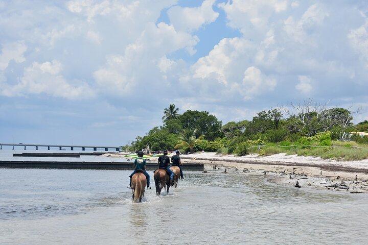 Équitation guidée sur les eaux cristallines de Miami en Floride