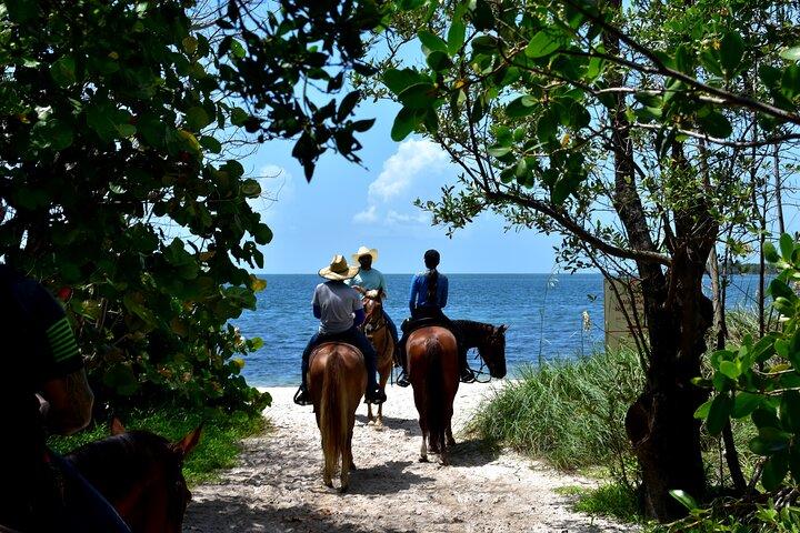 Équitation guidée sur les eaux cristallines de Miami en Floride