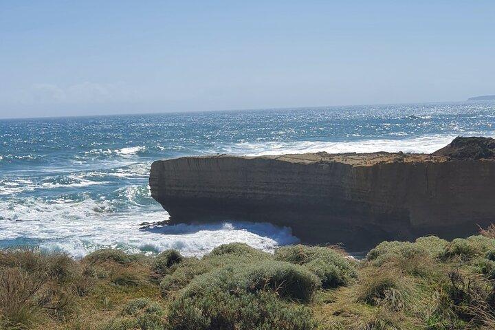Excursion privée d'une journée sur la Great Ocean Road