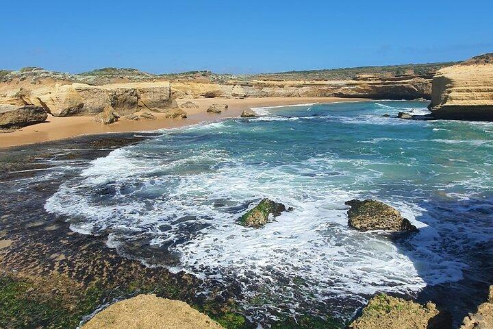 Excursion privée d'une journée sur la Great Ocean Road