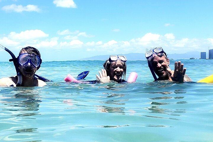 Snorkling i Waikiki Många fiskar på alla nivåer Gratis Video och bilder!