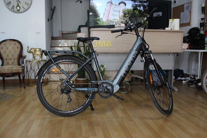 leje e-cykler for en dag
