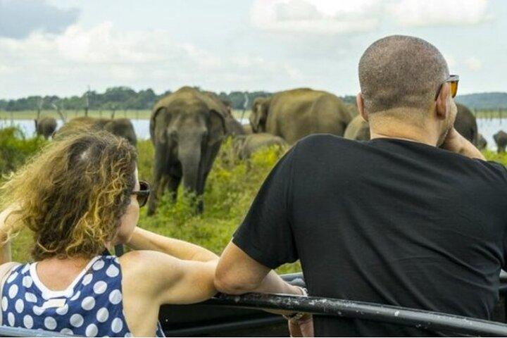 Sigiriya, Dambulla & Habarana Safari Tour vanuit Colombo | Budget