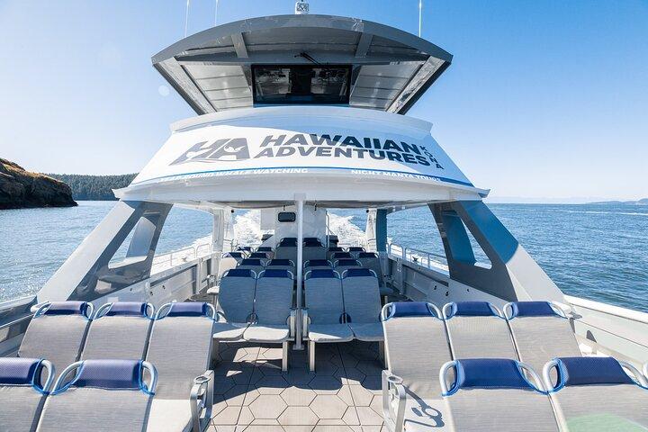 Garantito Dolphin/Whale Watch