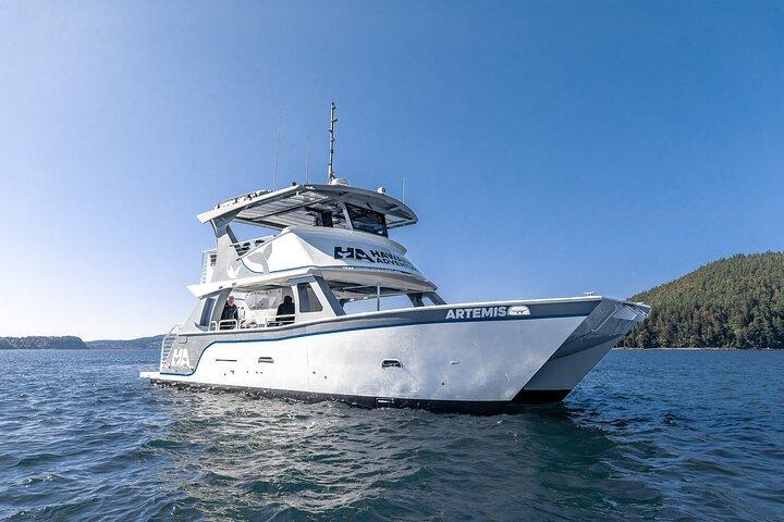 Garantito Dolphin/Whale Watch