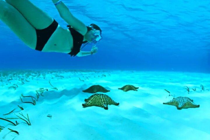Tour privato a Cozumel El Cielo Sandbar e Reef Snorkeling