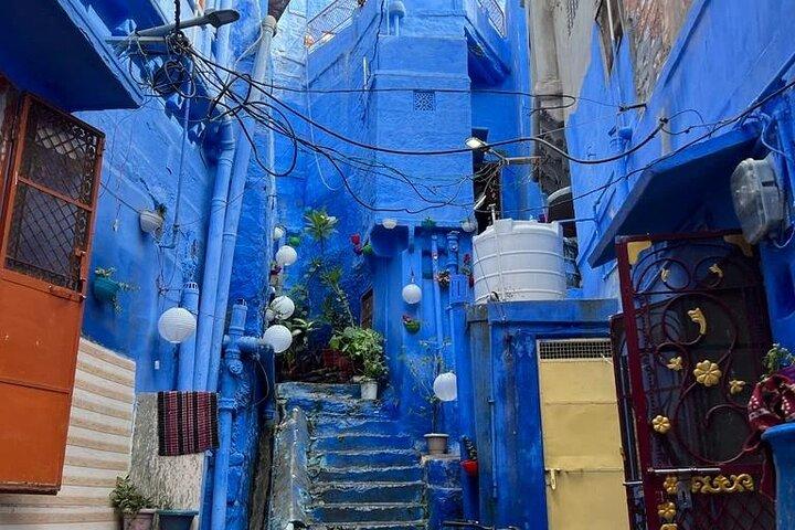 Paseo a la herencia azul con rishi