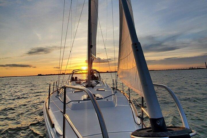 Excursion privée du matin en voile/dauphin sur 50ft Fate, BYOB ou restauration