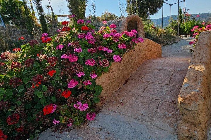 2-Hour Botanic Garden Tour in Akoursos