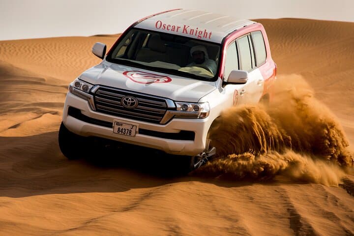 High Red Dunes with Camel Ride, Sandboarding, Falcon Show and VIP BBQ Dinner