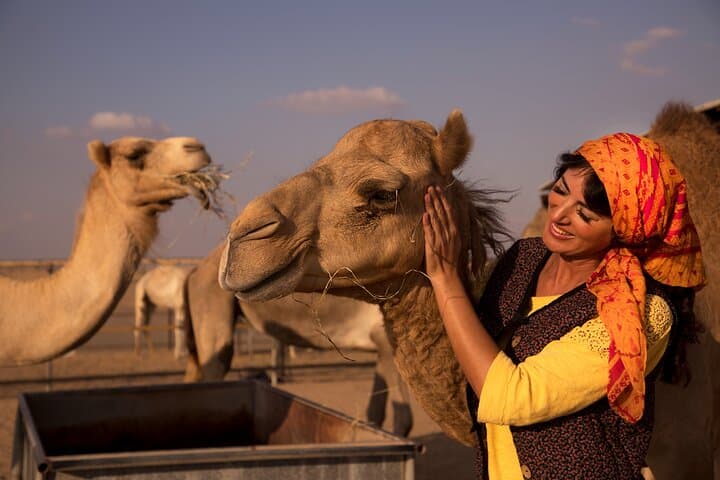 High Red Dunes with Camel Ride, Sandboarding, Falcon Show and VIP BBQ Dinner