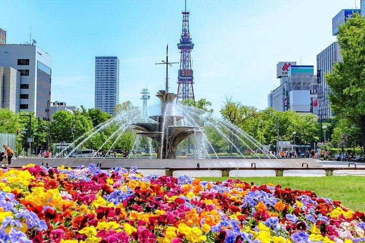 さっぽろウォーキングツアー（平日午前/午後）