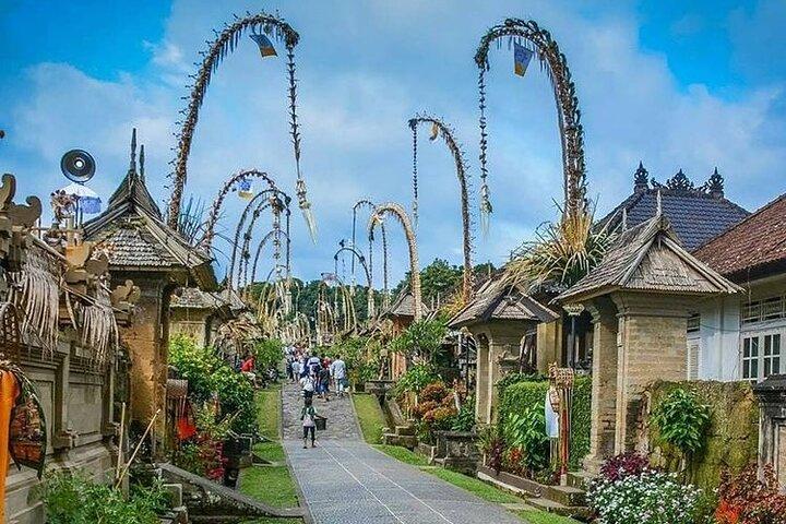 Bali Ubud og Kintamani sightseeingtur