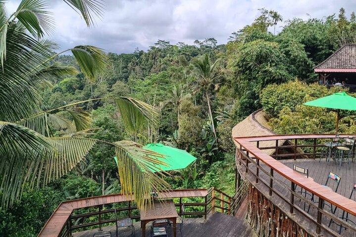 Bali Ubud og Kintamani sightseeingtur