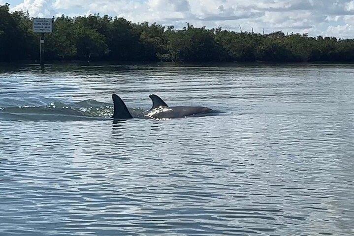 Tour nella giungla di 8 ore e passaggio dalla laguna all'oceano a Fort Pierce