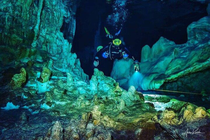 セノーテでのダイビング: マヤの地下世界の発見