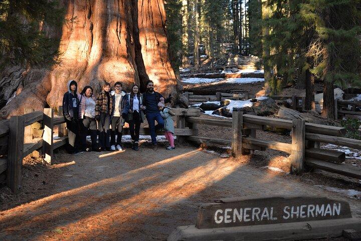 Privédagtocht naar Sequoia en Kings Canyon Parken vanuit LA