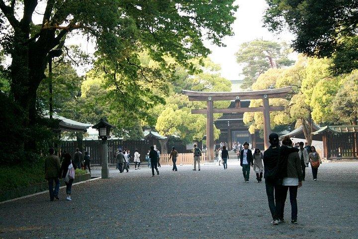 Tokyo Heldagstur med privat guide og luksusbil