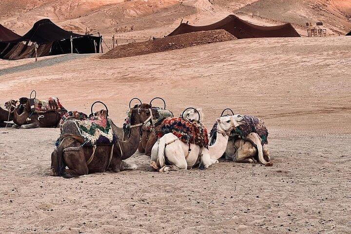 Ourika Valley & Agafay Desert: Atlas Mountains with Camel Ride